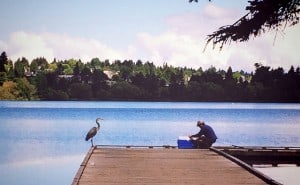 Greenlake Crane